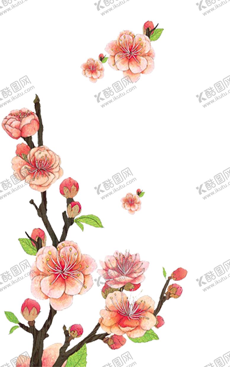 编号：29691402130114059259【酷图网】源文件下载-   手绘粉色桃花免扣素材图片