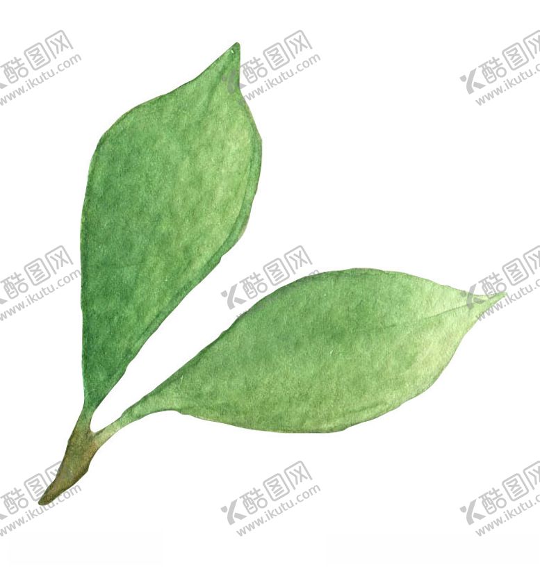 编号：92474712130146451592【酷图网】源文件下载-水彩手绘植物