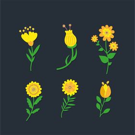 各种花朵手绘水彩鲜插画卉插图