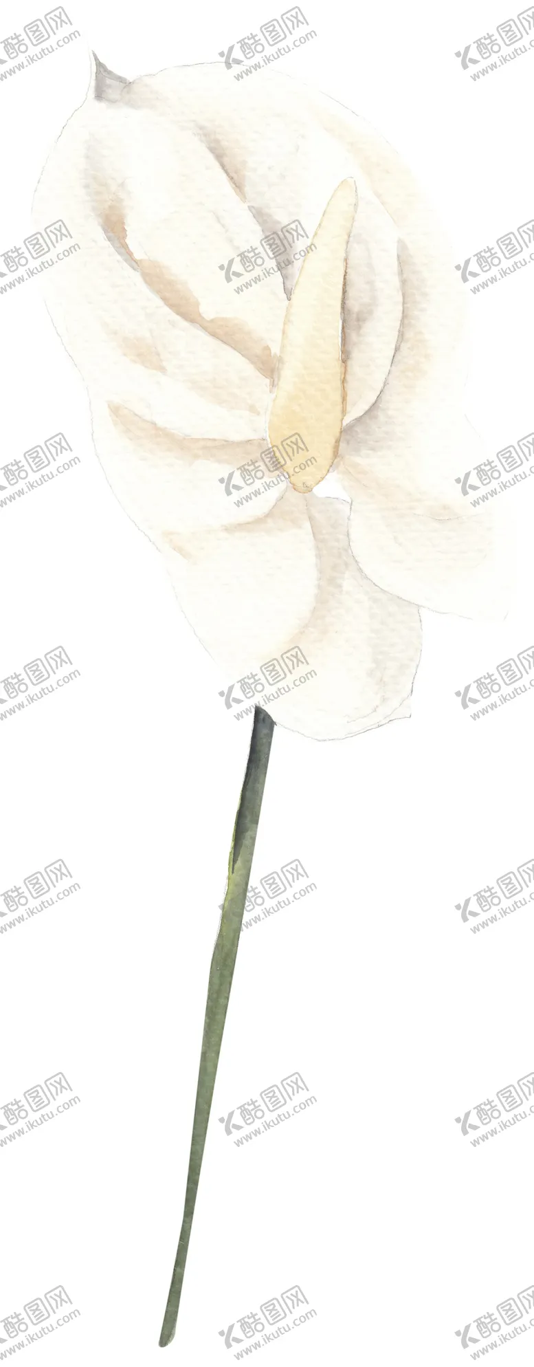 编号：32877406271134084464【酷图网】源文件下载-北欧小清新水彩植物图案