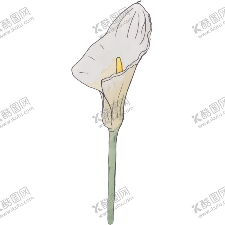 编号：74801007091935557449【酷图网】源文件下载-花图片