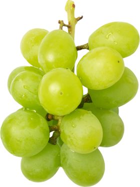 葡萄绿色食品新鲜蔬菜水果食材