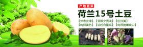土豆