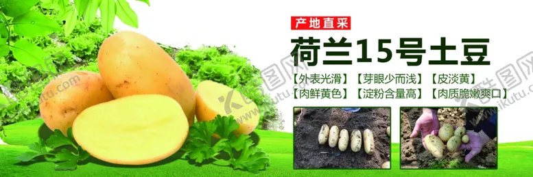 编号：20996206270959065225【酷图网】源文件下载-土豆