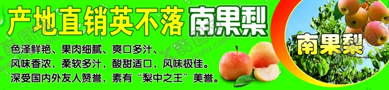 编号：24150506152315133018【酷图网】源文件下载-英不落南果梨