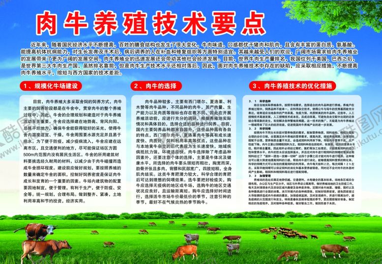 编号：90029707011207269997【酷图网】源文件下载-肉牛养殖技术要点