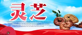 灵芝