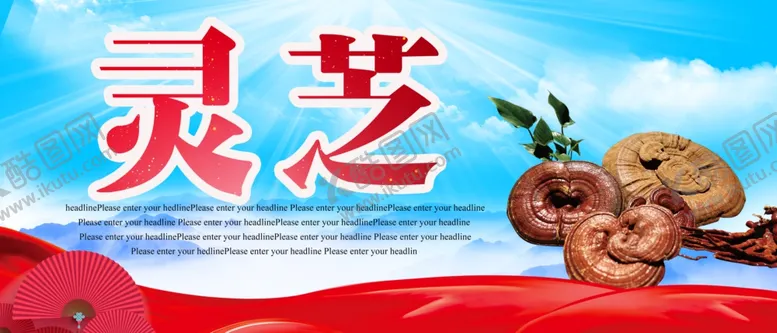 编号：24824901251454335539【酷图网】源文件下载-灵芝