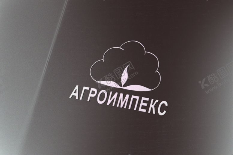 编号：48536009291728595682【酷图网】源文件下载-LOGO样机