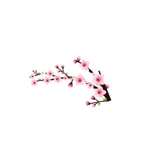 鲜花素材红玫瑰植物草百合小清新朵
