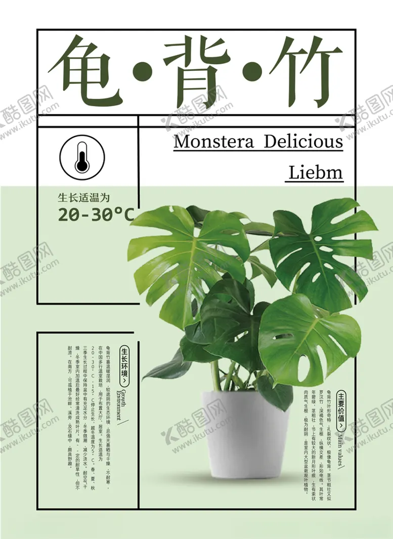 编号：84393206180557456373【酷图网】源文件下载-龟背竹海报