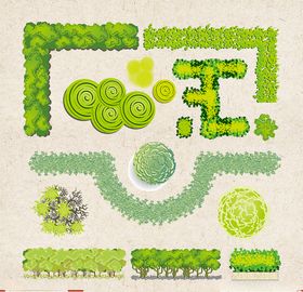 矢量动物矢量植物插画手绘