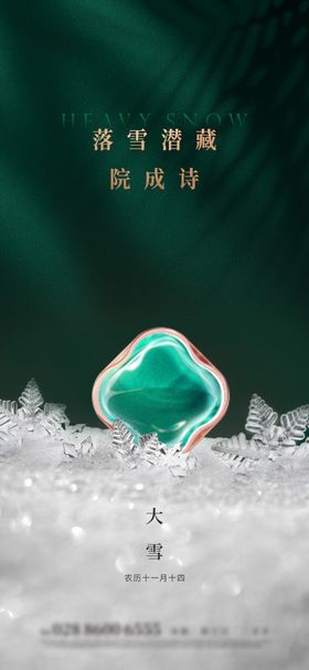 大寒小寒小雪大雪海报