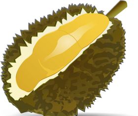 矢量榴莲