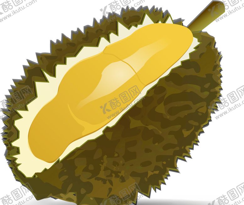编号：73531407040433394365【酷图网】源文件下载-矢量榴莲