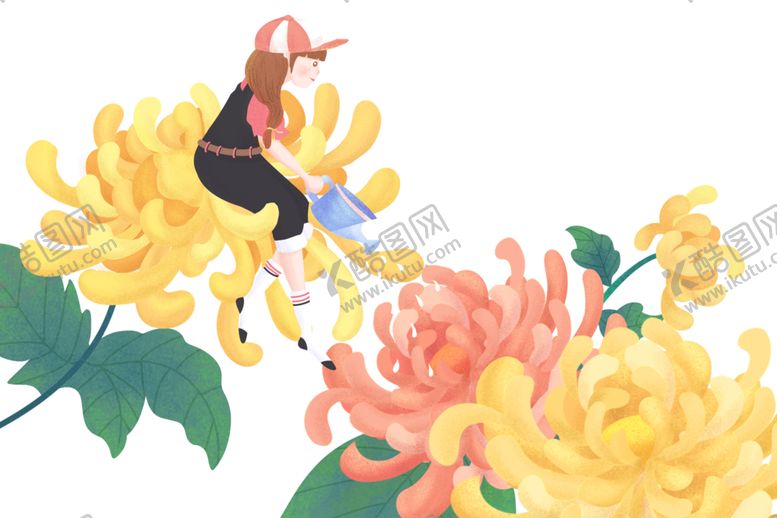 编号：55063110081348009096【酷图网】源文件下载-菊花