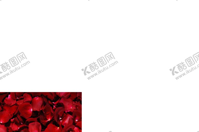 编号：60588706162354156328【酷图网】源文件下载-手绘植物花卉