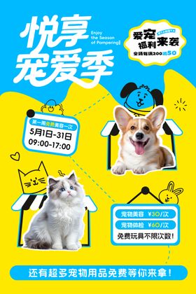 宠物海报