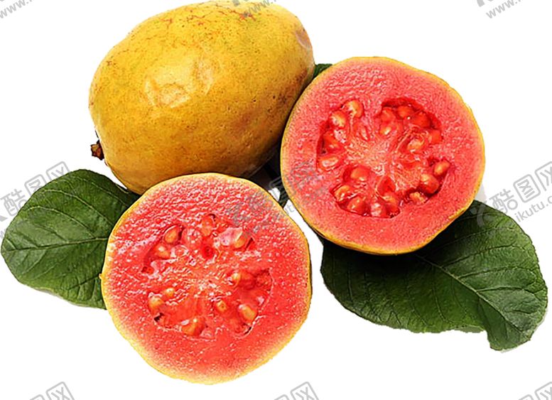 编号：65049710091916267148【酷图网】源文件下载-水果