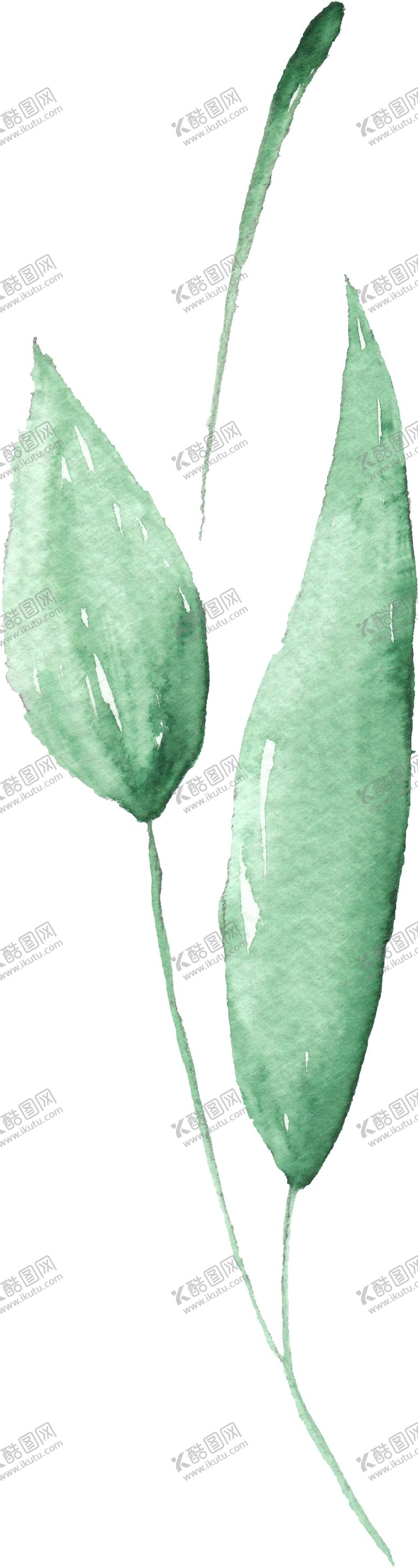 编号：28033210091605517554【酷图网】源文件下载-海报元素花草元素展架元素