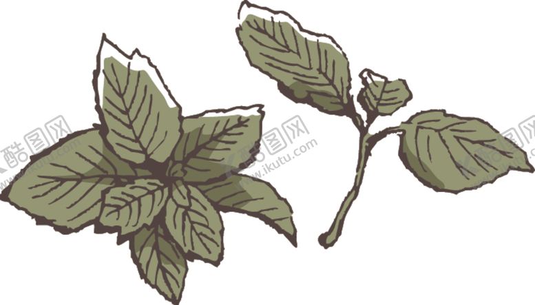 编号：49014710060143272661【酷图网】源文件下载-素描鲜花