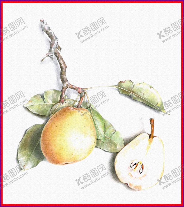 编号：54073809210311588540【酷图网】源文件下载-梨子