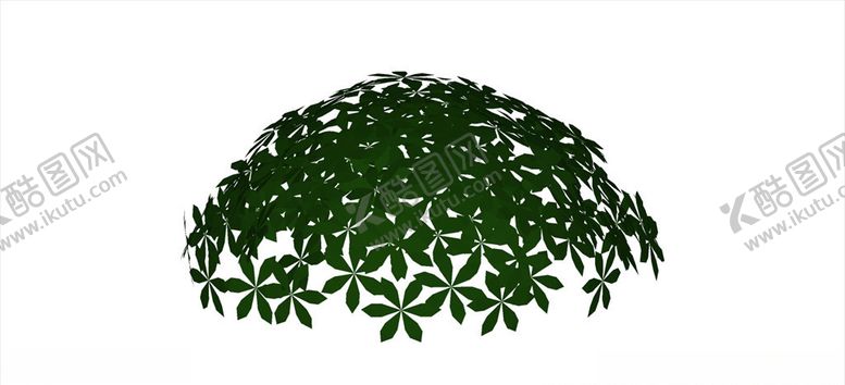 编号：98451909221416098808【酷图网】源文件下载-鹅掌柴非洲茉莉