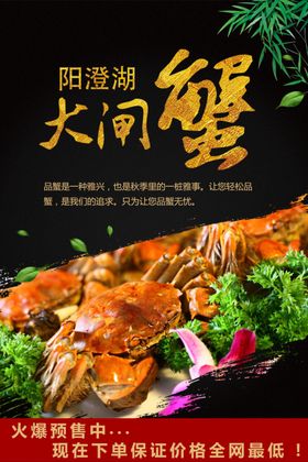 阳澄湖大闸蟹宣传海报