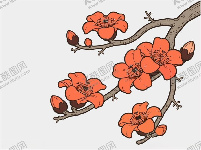 编号：42738904031644028374【酷图网】源文件下载-木棉花