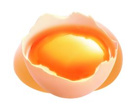 鸡蛋