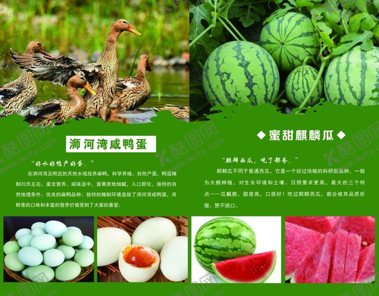 编号：45326310120410515678【酷图网】源文件下载-菜文化墙