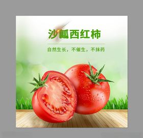 西红柿主图