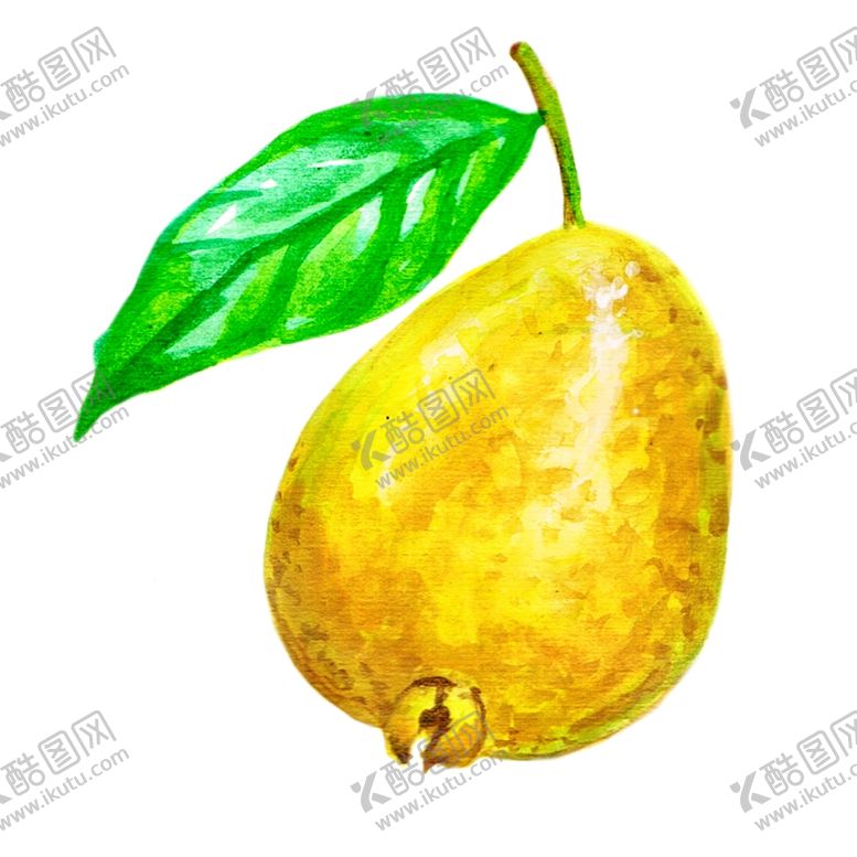 编号：81096509090839032803【酷图网】源文件下载-水果