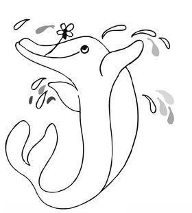 海豚