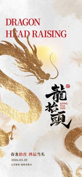 龙年主题创意书籍封面设计