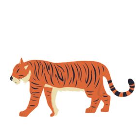 创意老虎插画图案