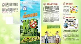 教育宣传页展示