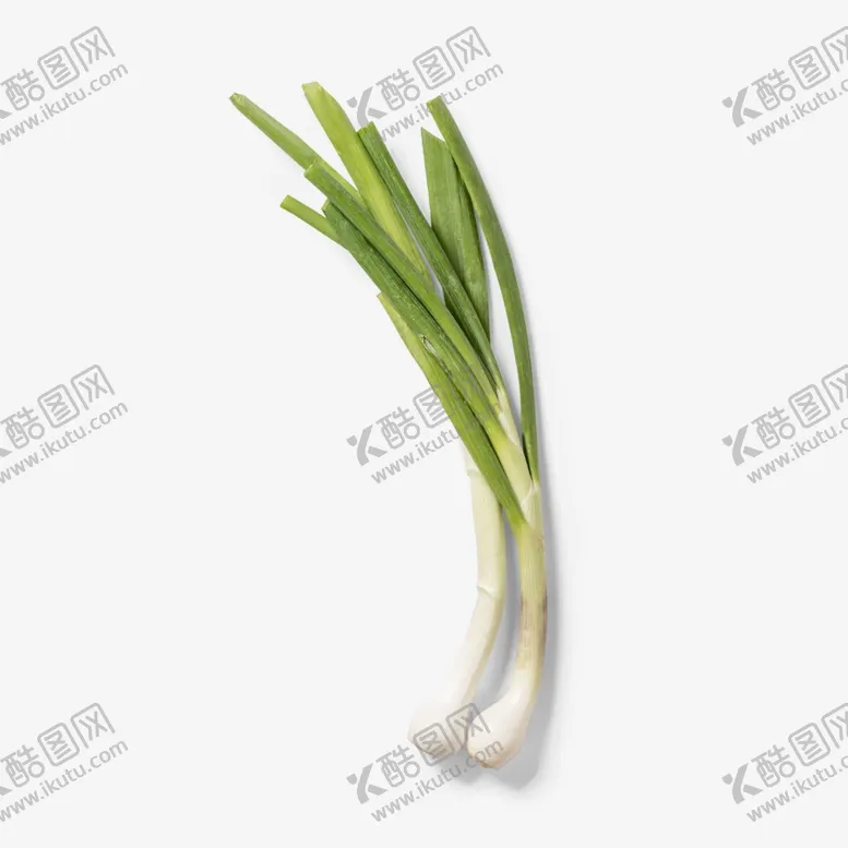 编号：90295602201555301416【酷图网】源文件下载-大蒜叶