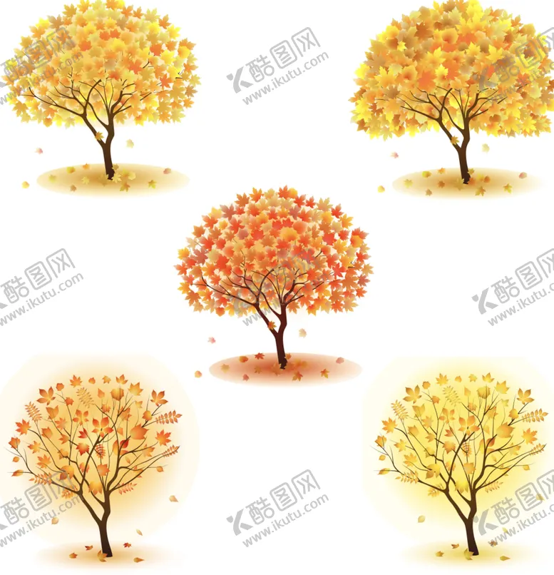 编号：84480710171937229967【酷图网】源文件下载-矢量枫叶枫树素材