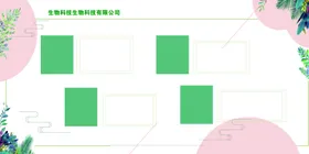 化妆品护肤品展板背景