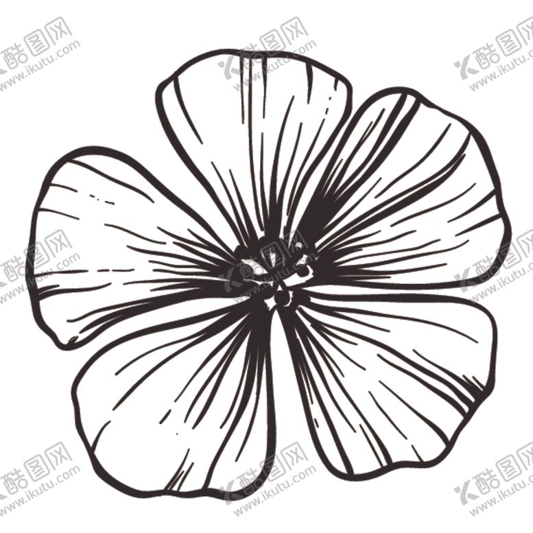 编号：61158109250708584956【酷图网】源文件下载-素描绘画植物花朵