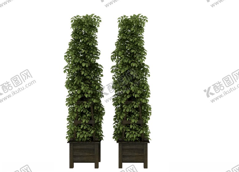 编号：92582306250832261214【酷图网】源文件下载-植物架子3d模型