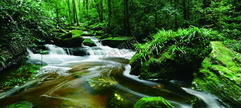 编号：45204003311632196613【酷图网】源文件下载-原始森林河流图片