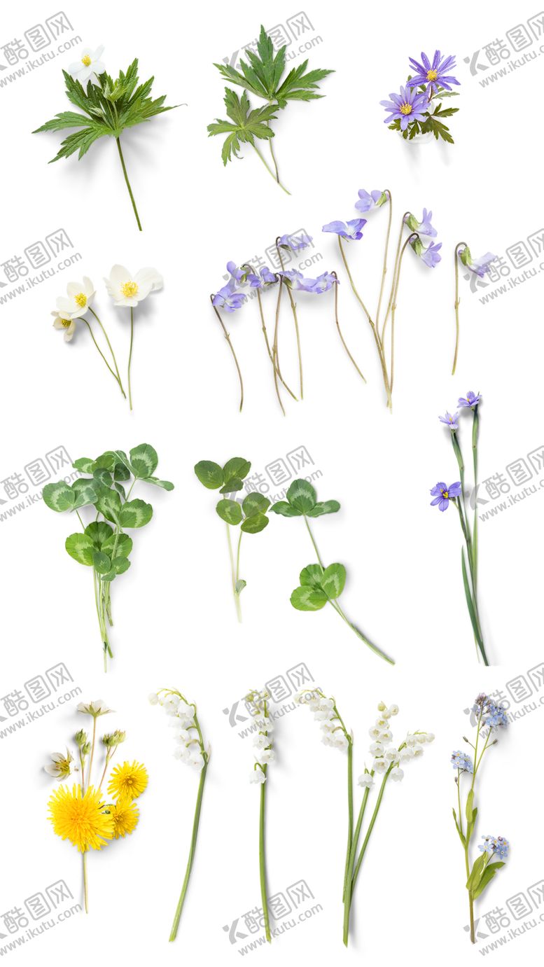 编号：51222709270309478934【酷图网】源文件下载-花卉花束PNG免扣素材