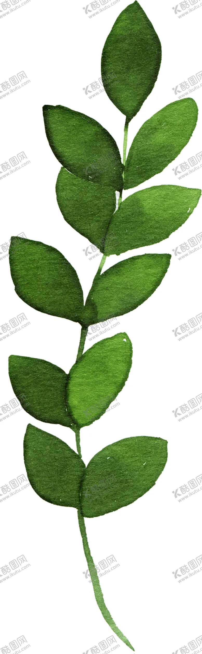 编号：51757209101844389528【酷图网】源文件下载-绿色相框