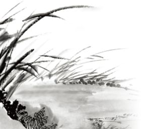装饰素材