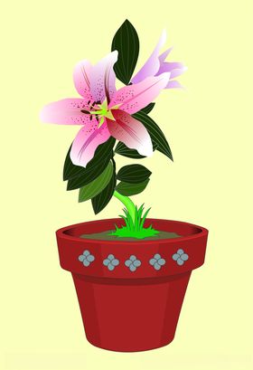 百合花花设计花图案