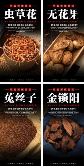 简约中医中药药材宣传海报