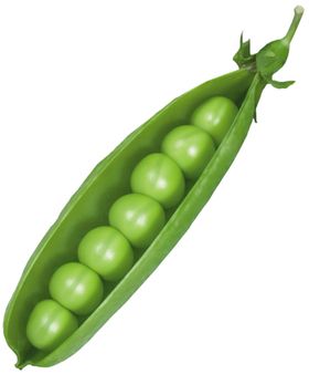 豌豆