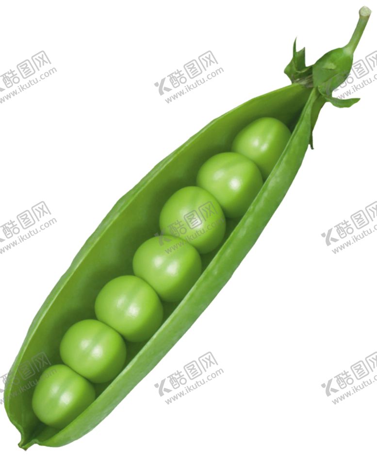 编号：79829910250226302423【酷图网】源文件下载-豌豆